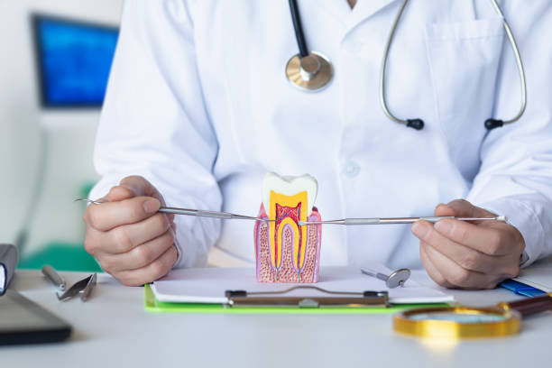 Best Emergency Root Canal Therapy in Ironton, OH
